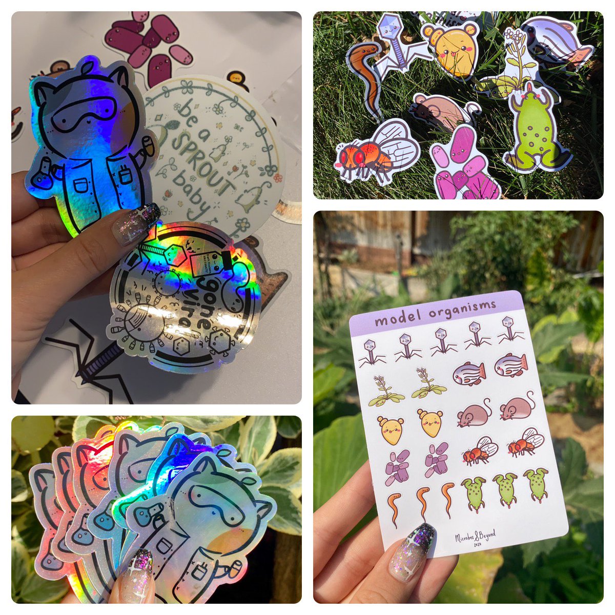 microbesandbeyond tweet media