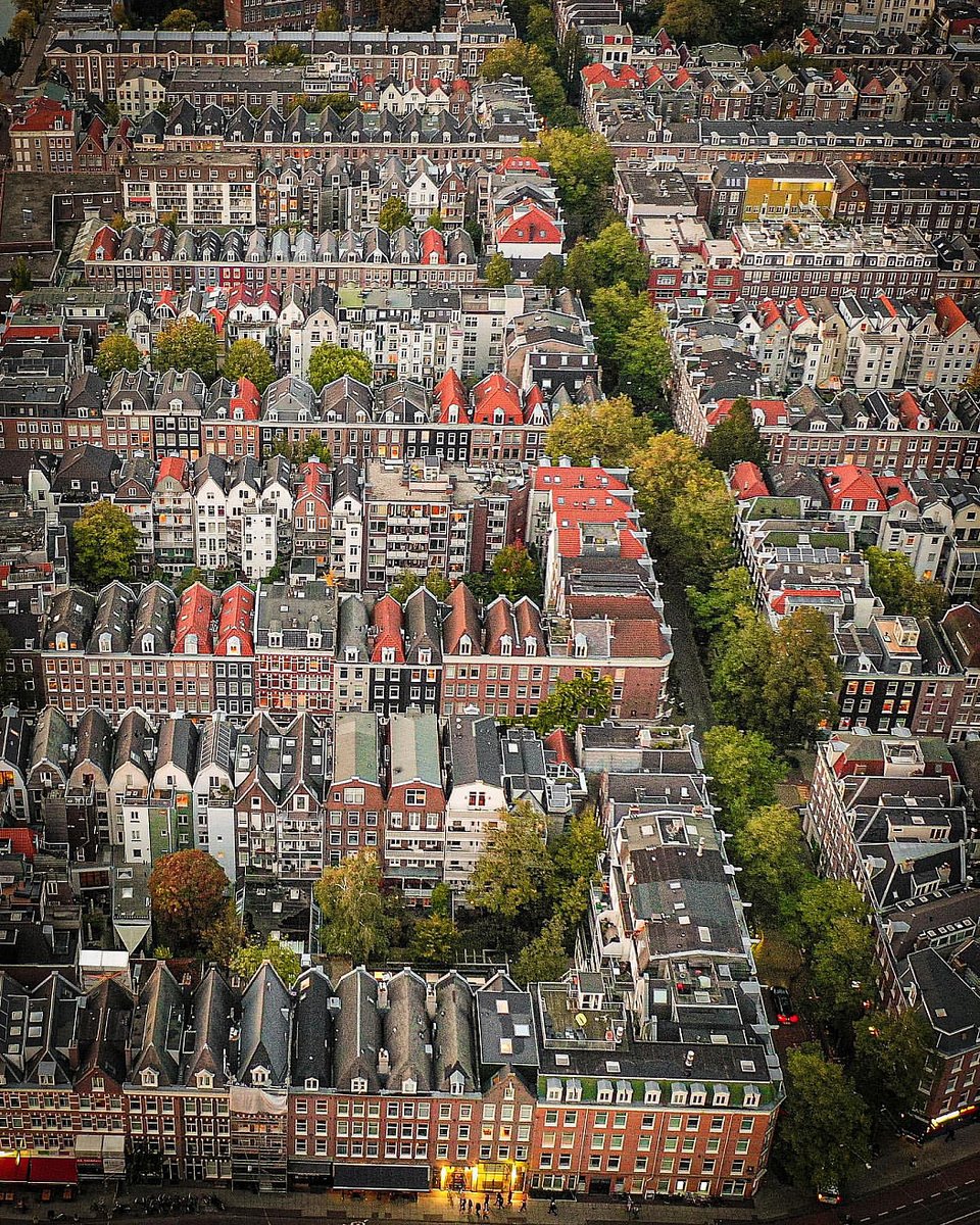 alejandrocsome's tweet photo. Fue un día difícil, miremos Amsterdam un ratito a ver si se nos pasa. https://t.co/DfEd2tWKq4