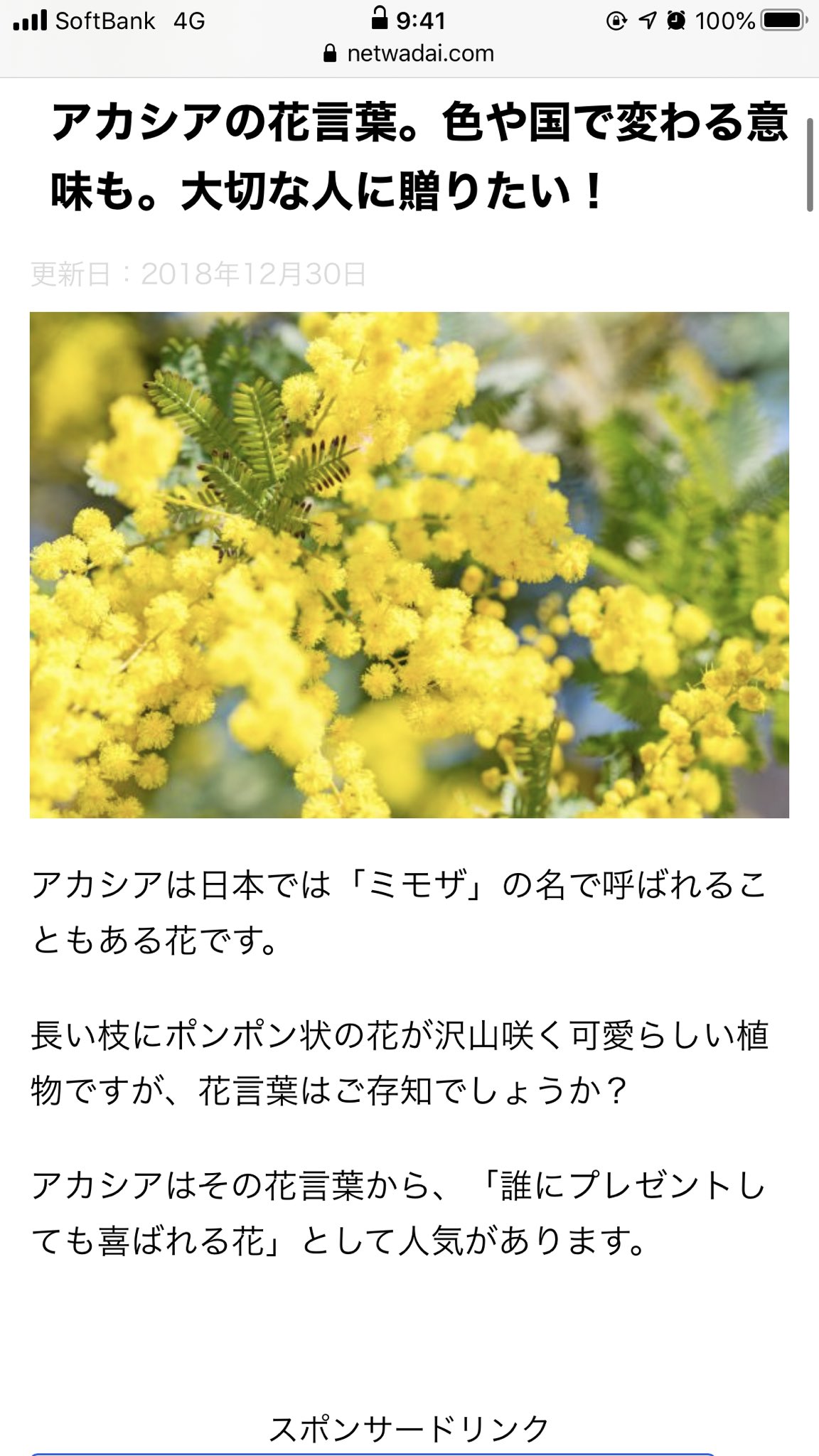 さおとめ ポケモンでbumpめっちゃ嬉しい けどなんでアカシア って調べたら剣盾の主要人物はみんな 黄色い花 がモチーフになってるって知って はぇ ってなって アカシアの花言葉は 友情 なの知って はぇ ってなって さらに別名がミモザで さおとめ ポケモンでbumpめっちゃ嬉しい けどなんでアカシア って調べたら剣盾の主要人物はみんな 黄色い花 がモチーフになってるって知って はぇ ってなって アカシアの花言葉は 友情 なの知って はぇ ってなって さらに別名がミモザで