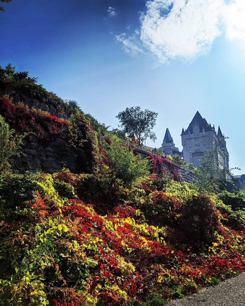 SlaterOnTheMic's tweet photo. Rideau Locks and a peak of @fairmontlaurier #fallfeels #ottawaviews #ottawa #myottawa #fallcolours #fall https://t.co/1IXf8u4kcI https://t.co/8SR08YMZgo
