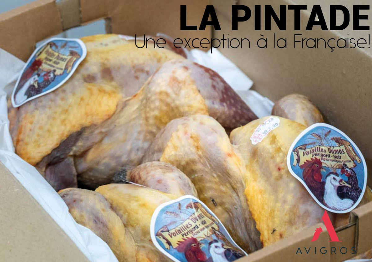 [UNE EXCEPTION A LA FRANCAISE]
Goûteuse et savoureuse, à mi-chemin entre la saveur des gibiers et des autres volailles, la pintade se décline au gré de toutes les envies : traditionnelle, à la vapeur, en papillotes, en poêlées, elle convient à tous.
#exception #tradition #pintade