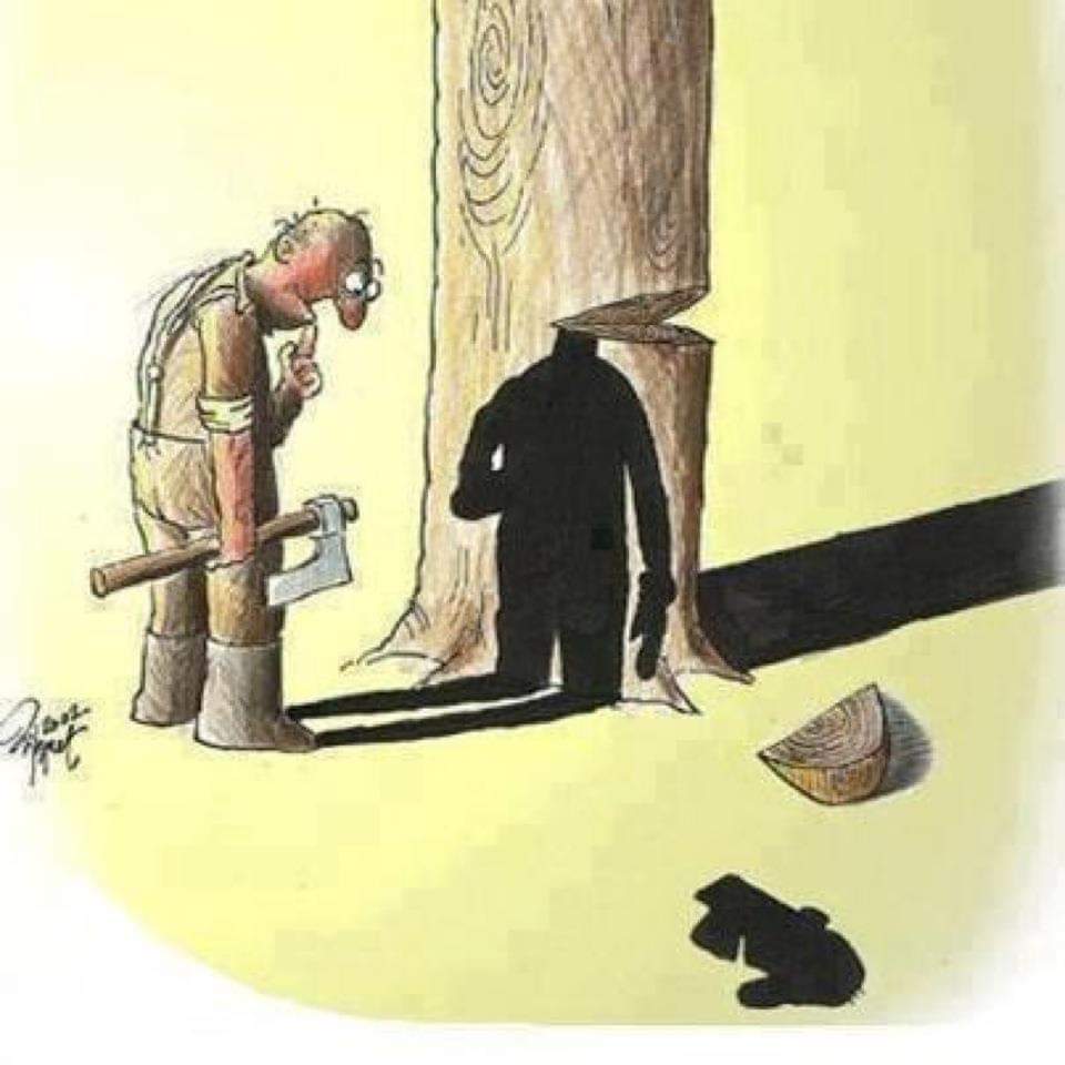 elldrews's tweet photo. 2 days to go til HS2s
#NationalTreeKillingDay
We must stop them #FellingOurFuture releasing tons of carbon, turning soil - releasing more
#TreesNotTrains #StopHS2Ecocide
Join @Hs2Rebellion https://t.co/o2egvZxewR