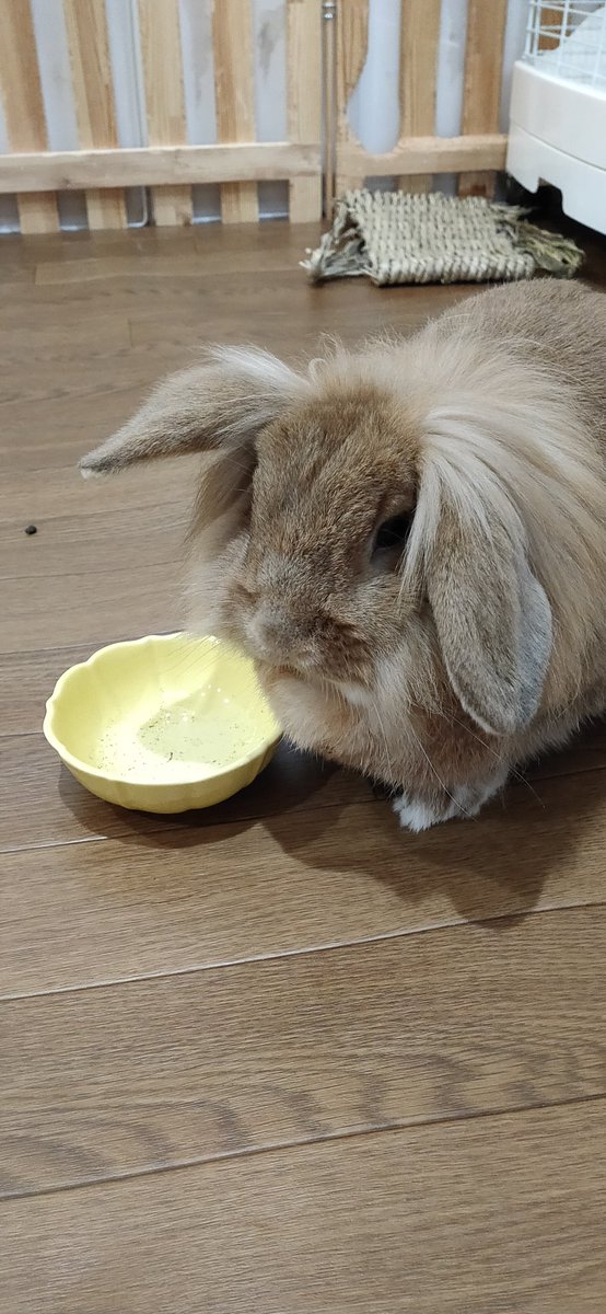 散歩道 ホテル カフェ現在完全予約制 Quroharo Twitter