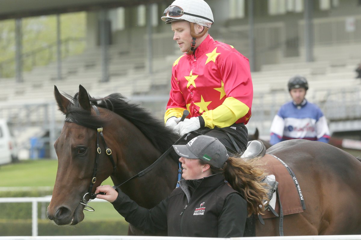 nzracingnews's tweet photo. Royally bred #Unition back on track for tilt at Gr.1 NZ 2000 Guineas
https://t.co/rLdRjyu2rf https://t.co/uP5iJM3fYC