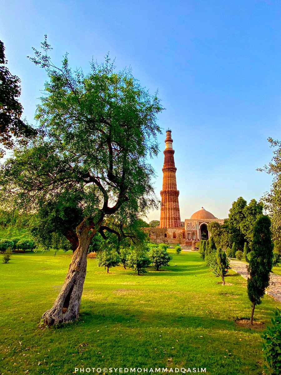 TreesDelhi's tweet photo. After Khrinis of Qutub SahabDargah,ChiragDili&Hazrat Nizamuddin this #PeeluTree of #Qutub complex is considered one of oldest living #NaturalHeritage of #Delhi .Spent some time with this grandold #MiswakTree #SlavadoraPersica also called #ToothBrushTree
#StoriesOfTreesOfDelhi https://t.co/W61gk8OzvQ