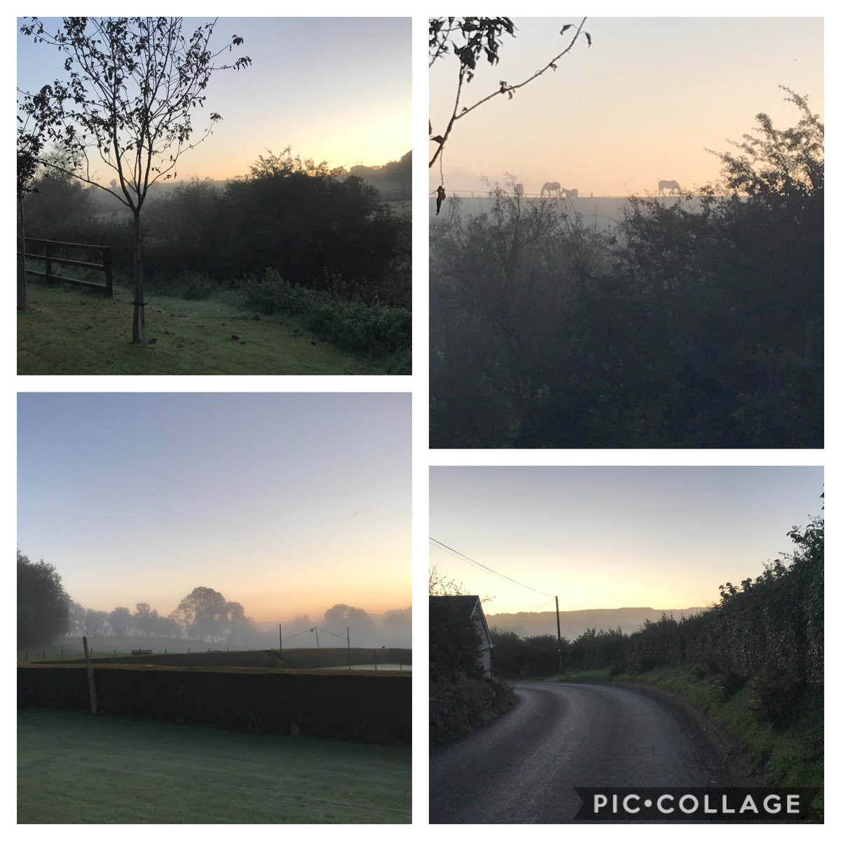 The dawning of an Autumn day in #WestWicklow. Good health to #everyone