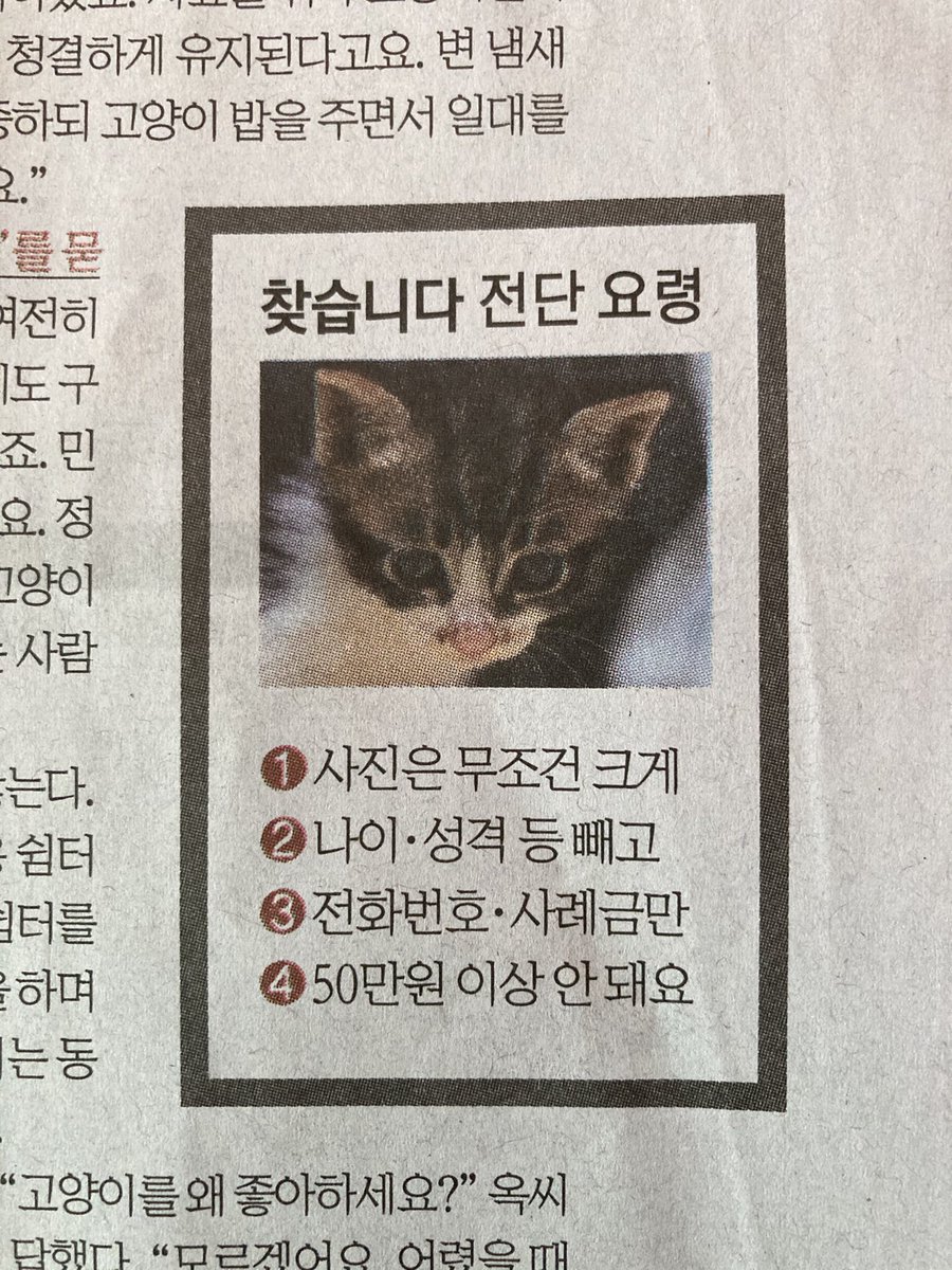 ㅎㅅㅎ🏳️‍🌈 tweet media