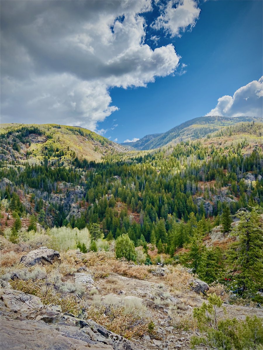 Sarah Pierce tweet media