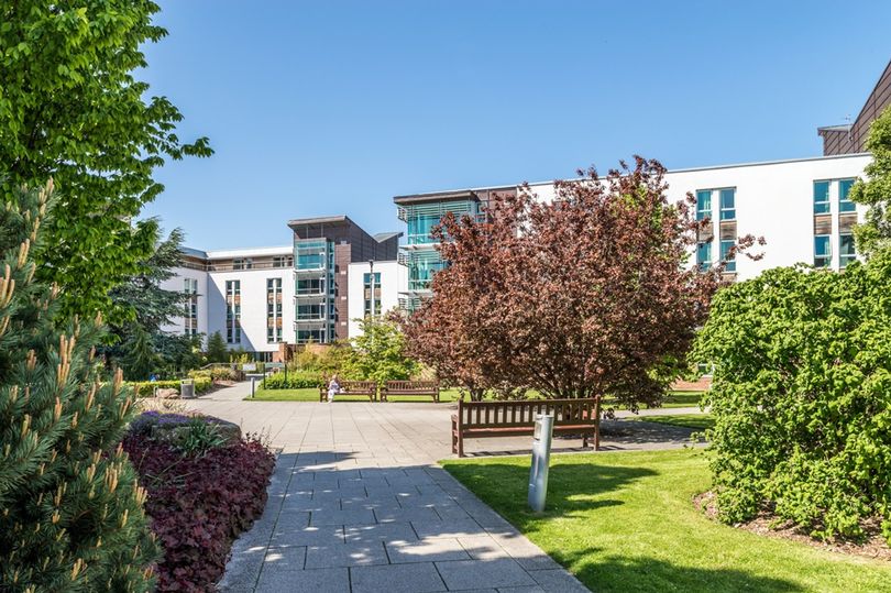 Harpindon Groomsmill tweet media