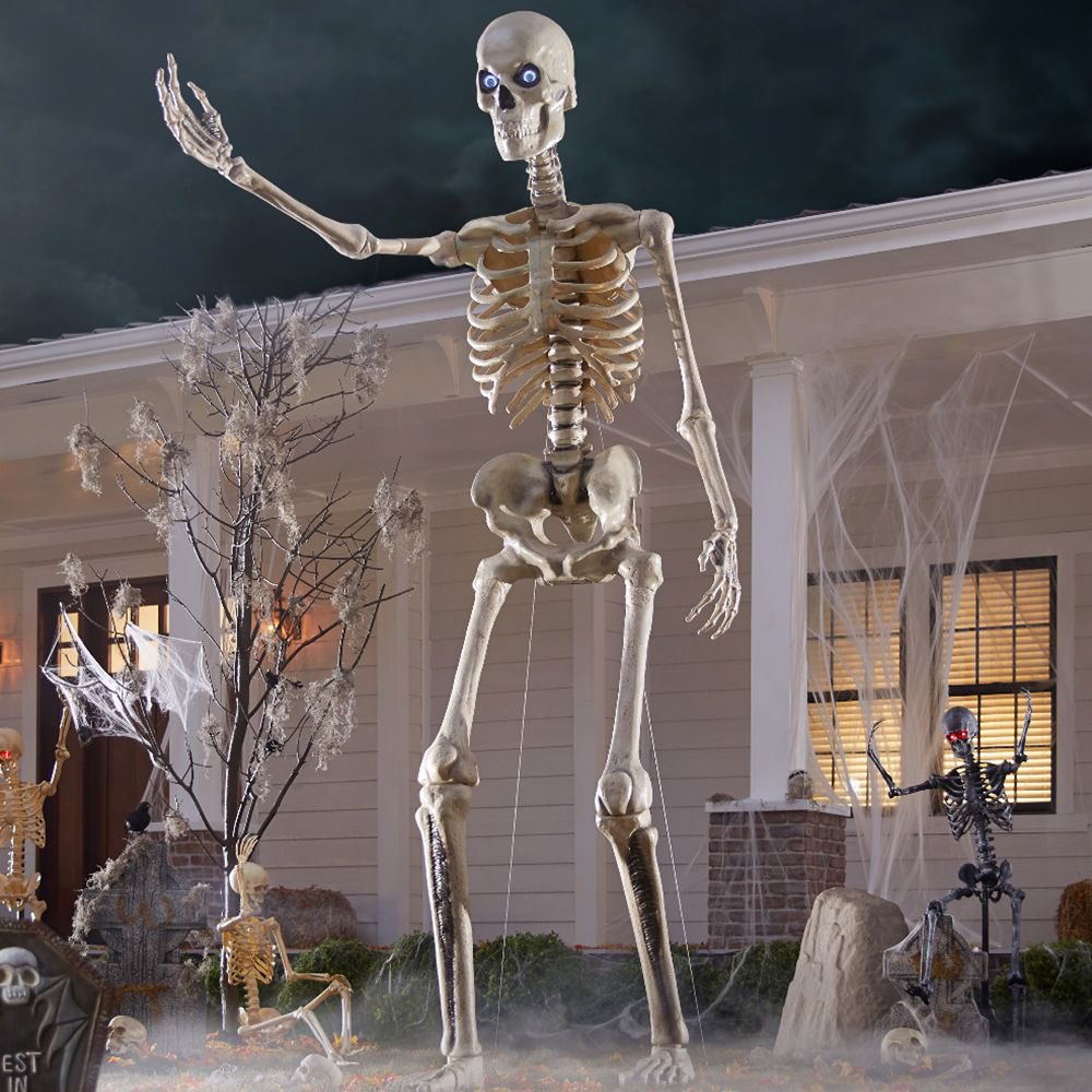 deathcamps's tweet photo. Can’t stop thinking about the 12 foot skeleton. Actually went to go cop today but they’re sold out everywhere. File this under #extremeneed https://t.co/kxkzbdWuRV