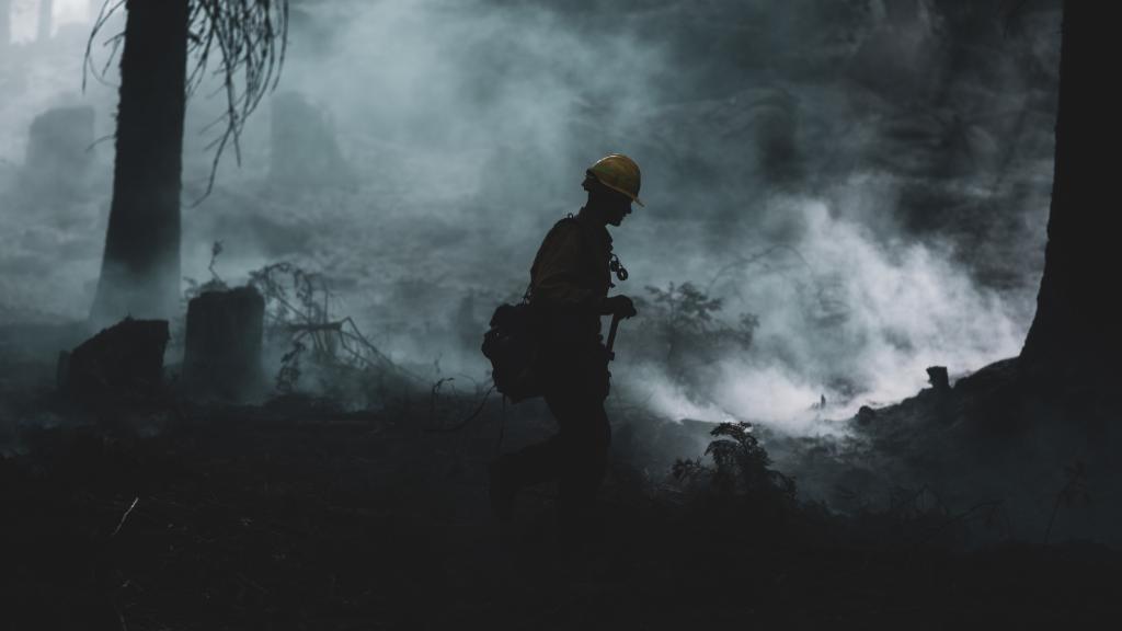 USNavy's tweet photo. Firefight 

Approximately 250 #USMarines and #USSailors from 7th ESB are helping to fight the Creek Fire in Central California. https://t.co/SUv7936tuT