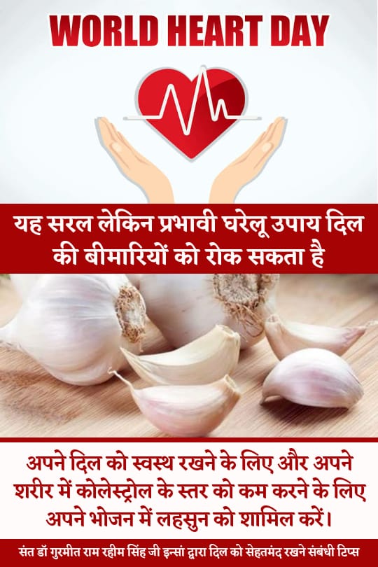 preetdhindsa00's tweet photo. दिल के रोगों से बचने के लिए हमें स्वस्थ आहार लेना आवश्यक है हमारा खान-पान जितना सही रहेगा उतना ही हम बीमारियों से दूर रहेंगे। दिल के रोगों के रोकथाम का घरेलू उपाय @Gurmeetramrahim जी बताते हैं नियमित रूप से लहसुन के सेवन करने से काफी हद तक हमारा दिल स्वस्थ रहता है। #WorldHeartDay https://t.co/581qtvsaD2