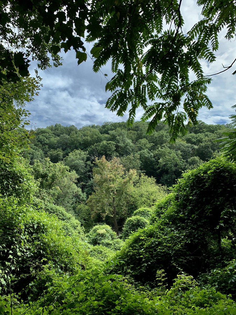 abdallah_fayyad's tweet photo. (Belated) Happy 130th Birthday to Rock Creek Park, America’s third oldest national park. (An example of taxes well spent, so a big thanks to all who paid theirs.) https://t.co/YSXeymuHxv