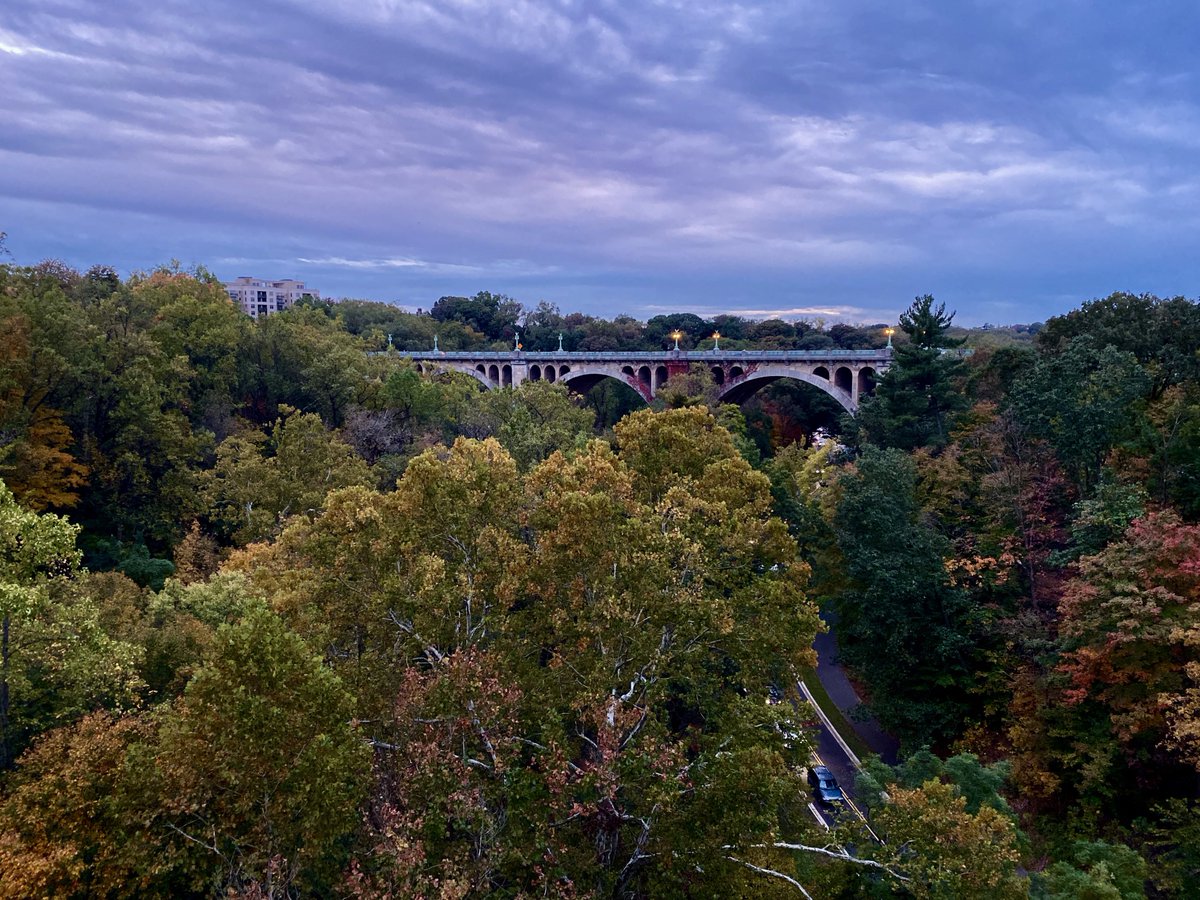 abdallah_fayyad's tweet photo. (Belated) Happy 130th Birthday to Rock Creek Park, America’s third oldest national park. (An example of taxes well spent, so a big thanks to all who paid theirs.) https://t.co/YSXeymuHxv
