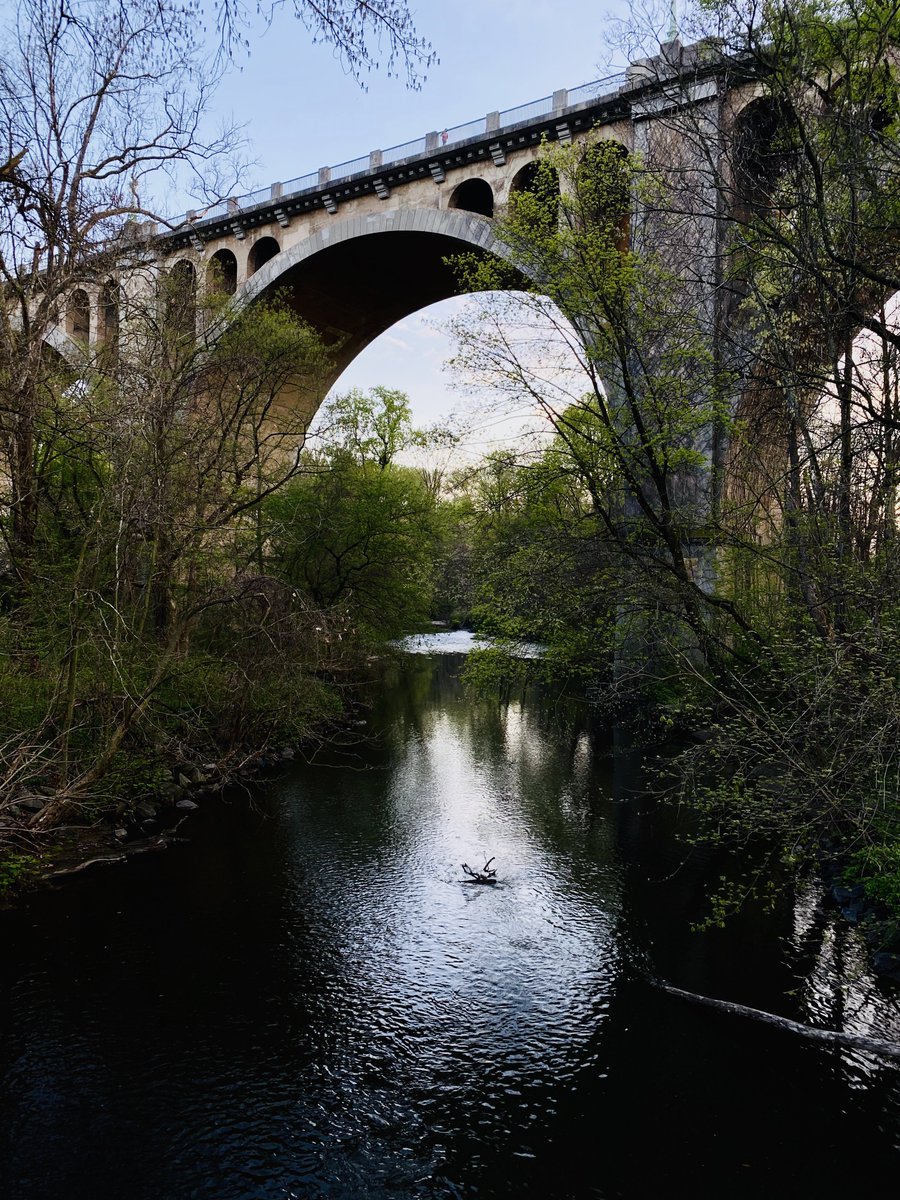 abdallah_fayyad's tweet photo. (Belated) Happy 130th Birthday to Rock Creek Park, America’s third oldest national park. (An example of taxes well spent, so a big thanks to all who paid theirs.) https://t.co/YSXeymuHxv