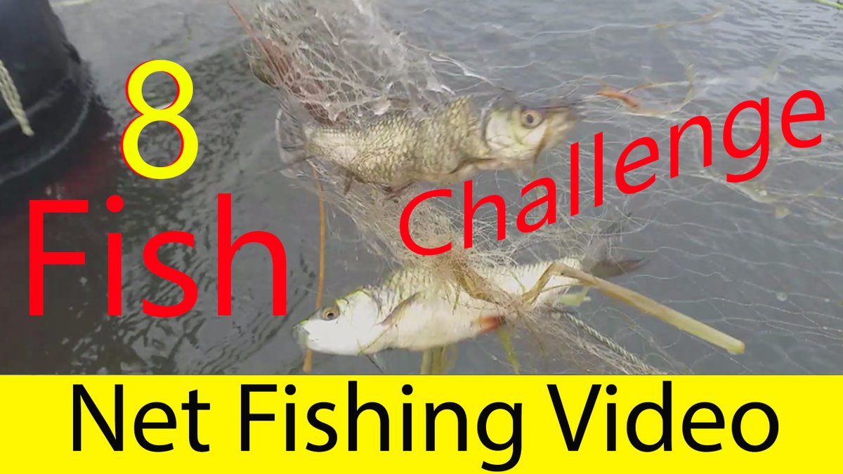 Cast net fishing in river || Most Satisfying Cast Net Fishing Video \\ 8... youtu.be/aZ36HKCQpBs via <a href="/YouTube/">YouTube</a>