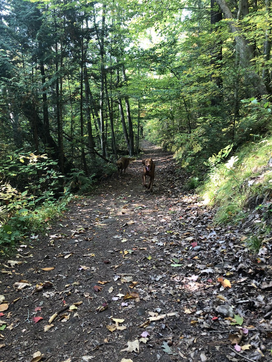 Amelia Campbell (@ameliacampbell) on Twitter photo Fall walks at Goodrich-Loomis Conservation. 🤗🍁🍂
.
<a href="/KelseyMcEwen/">Kelsey McEwen</a> <a href="/YourMorning/">CTV Your Morning</a> <a href="/Maddyoskamp/">Mrs. Johnson</a> Fall walks at Goodrich-Loomis Conservation. 🤗🍁🍂
.
<a href="/KelseyMcEwen/">Kelsey McEwen</a> <a href="/YourMorning/">CTV Your Morning</a> <a href="/Maddyoskamp/">Mrs. Johnson</a>