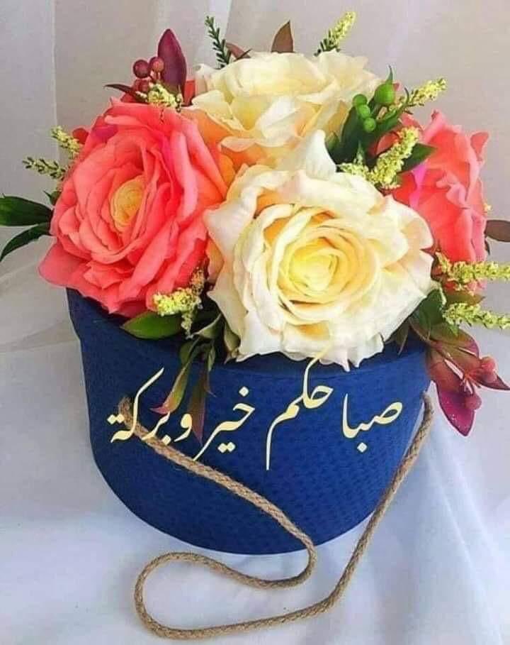 صباح الورد على الجميع