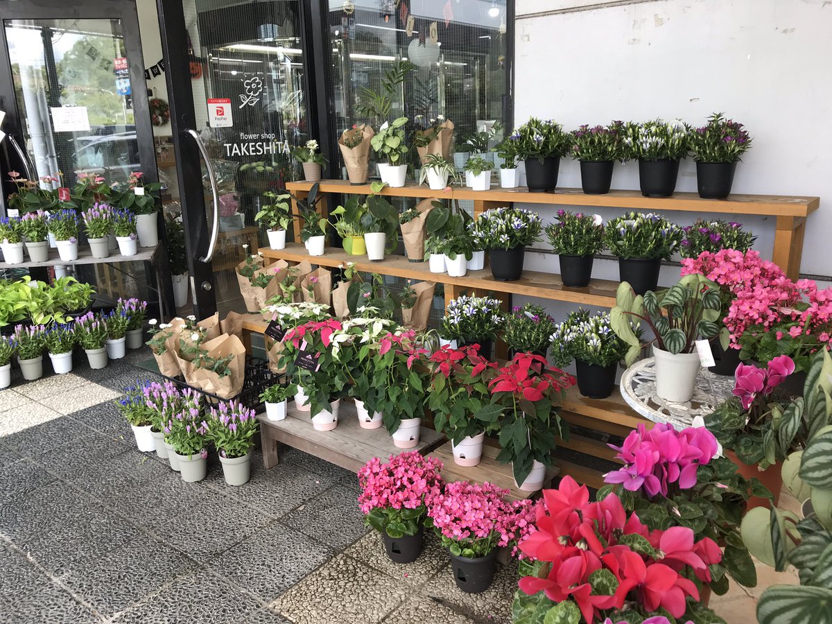 フラワーショップ タケシタ 花鉢入荷してきましたよ 詳しくは後ほどブログでご紹介したいと思います 田辺市お花屋さん 和歌山県フラワーショップ 生花店 南紀白浜 上富田 みなべ 印南 岩城 切目 日置 すさみ 御坊市 フラワーショップ