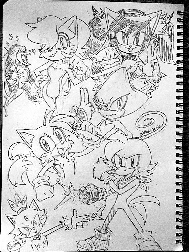 Did nOt expect my Sally drawings to blow up so I was motivated to draw some of my favourite Sonic characters!!!
#SonicTheHedgehog #sallyacorn #vectorthecrocodile #honeythecat #TailsTheFox #beanthedynamite #blazethecat 
#espiothechameleon 