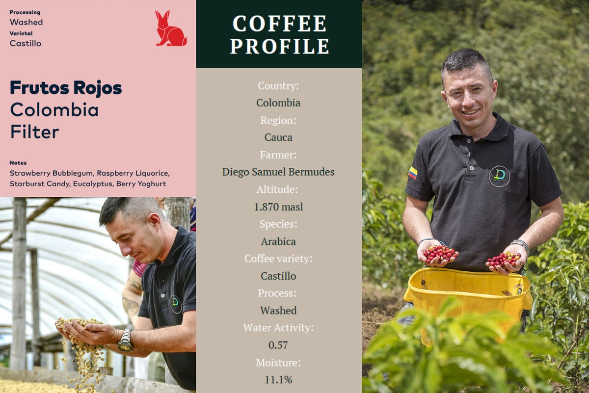 Sorry, that we have been quiet lately but here is some coffee goodness to make up for it! Steve has new season Single Origin Coffees in stock, check out this amazing Frutos Rojos Filter, link below, stock is limited! #specialtycoffee redrabbitcoffee.co.nz/collections/fi…