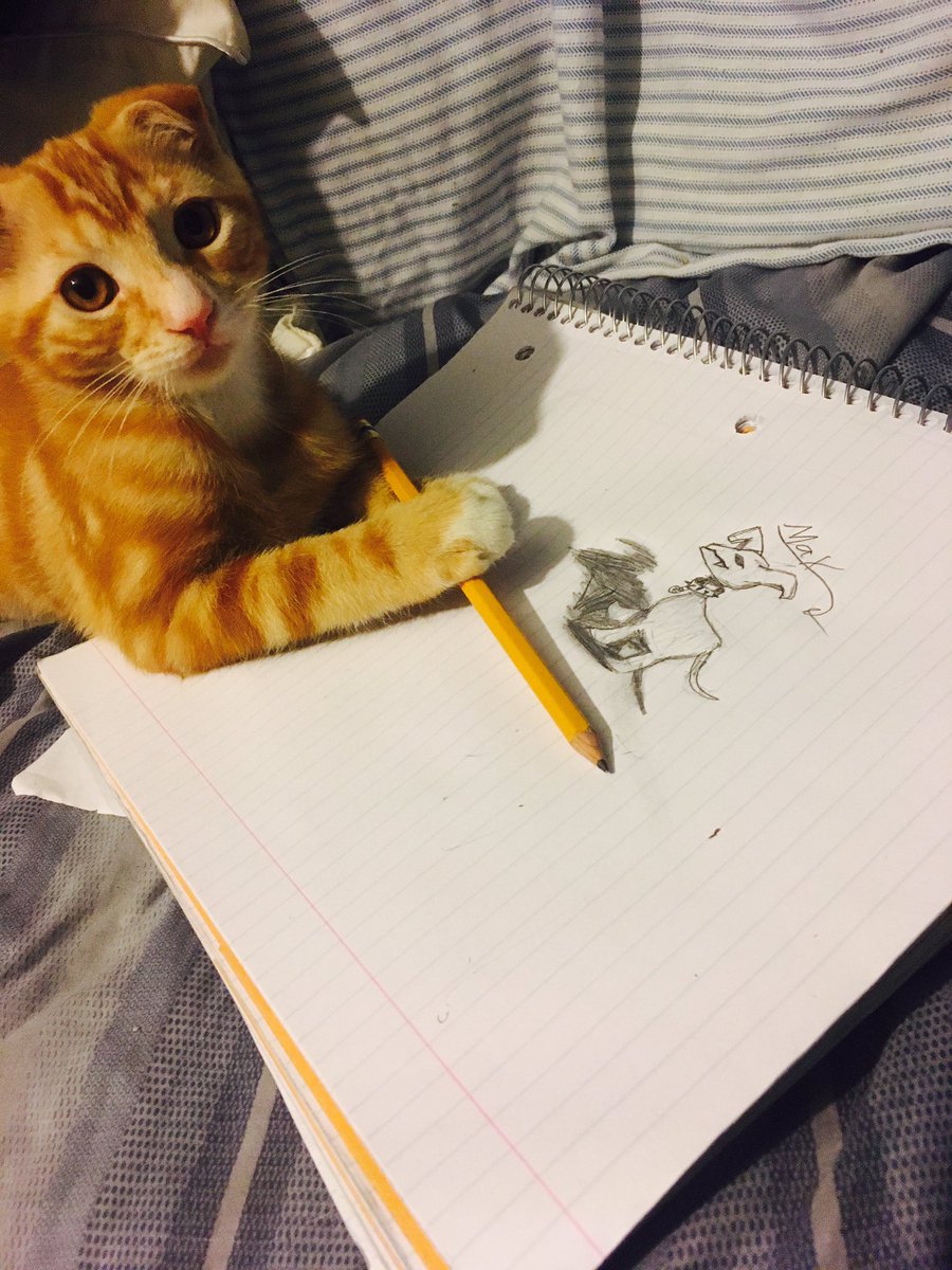 crobar777_'s tweet photo. @nanoade_ Cat widepeepohappy https://t.co/DvZK70x1fD