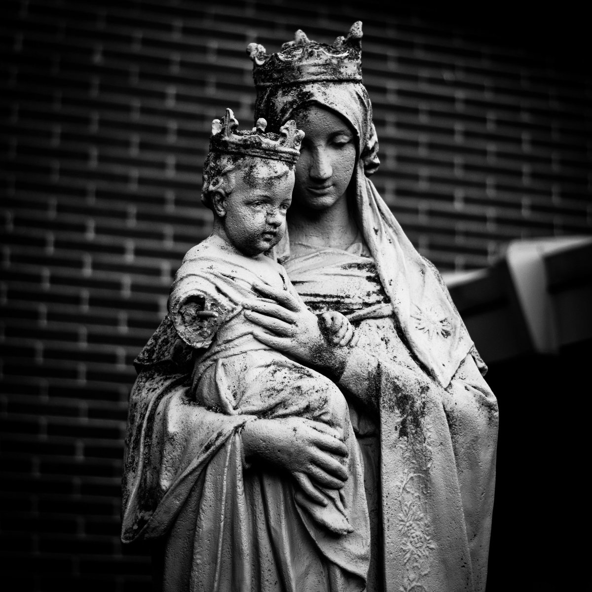 Squeeth_'s tweet image. Hi, I'm super inactive on here. I suck at social media...

Here, have an older photo I took.