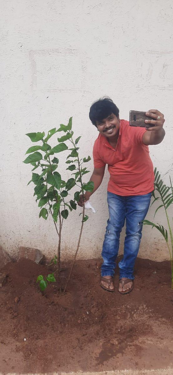 . @sampoornesh participated in #GreenindiaChallenge 🌱 initiated by honorable MP Shri @MPsantoshtrs by planting saplings at his home in Yusufguda.
Further nominated his friends #Sameer, #Sivajyothi and director #StevenShankar to continue the chain. 💚 #HarithaHaaram