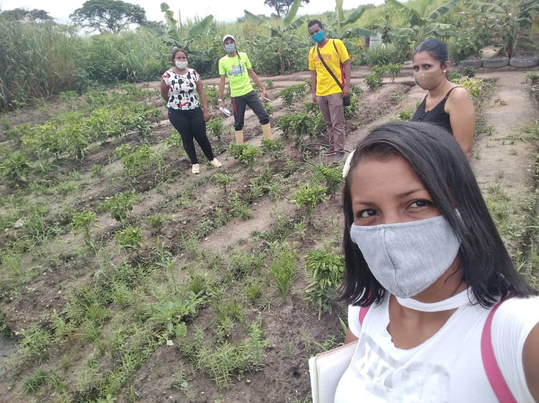 Minjuventud Carabobo tweet media