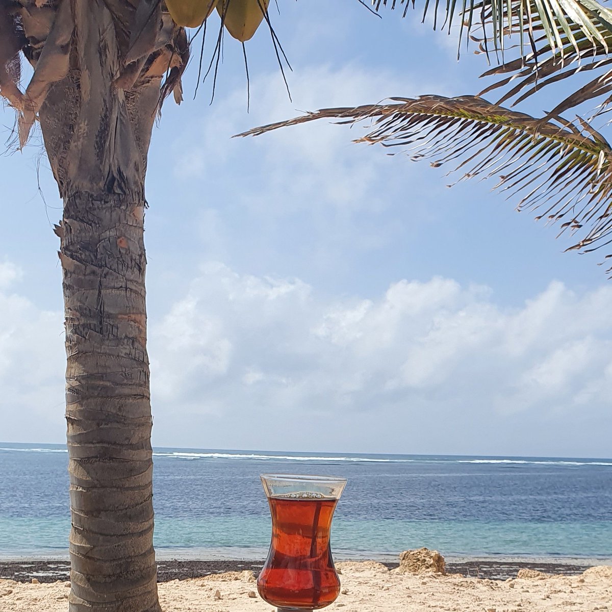 AmbAmerico's tweet photo. Subax wanaagsan,  I will never get tired saying that we beautiful, majestic beaches in #Somalia, this is #Jazeera beach @bashiirph1 @gabowduale https://t.co/1jQk2Sw0ts