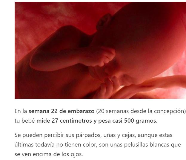 Josesiux E Dinamixo Lestatcondenado Lillytellez Asi Luce Un Bebe A Las 22 Semanas T Co Reim9ebcgo Twitter Josesiux E Dinamixo Lestatcondenado Lillytellez Asi Luce Un Bebe A Las 22 Semanas T Co Reim9ebcgo Twitter