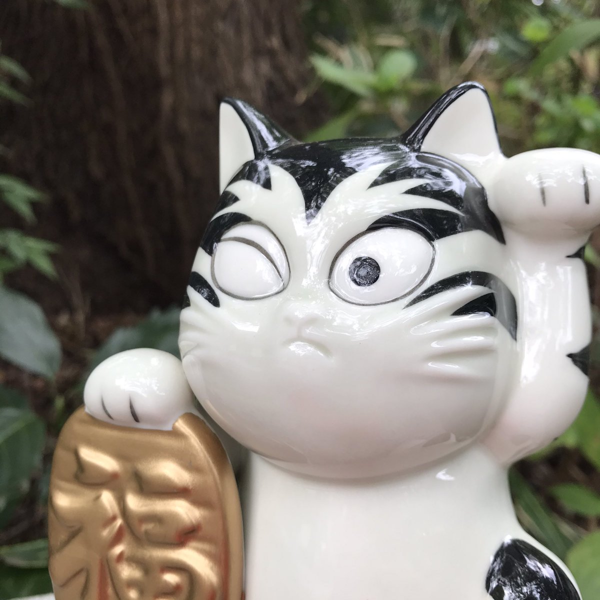 公式 鬼太郎茶屋 今日は招き猫の日 招いている手は左右で意味が違い 右手はお金を 左手は人を招くと 言われています お店で飾ってる猫楠と みんなを待っているよ W 招き猫の日