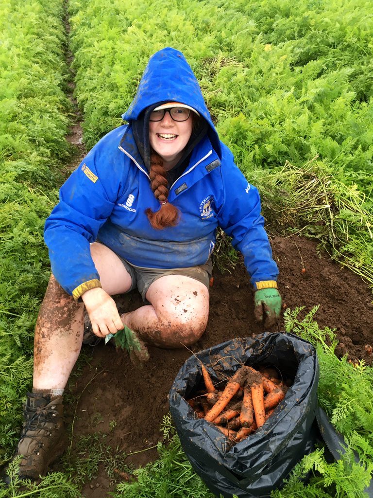 Have a virtual  if you’ve made it this far! And the next time you see carrots on the supermarket shelf you can spare a thought for the growers out there working hard to get them there, as well as scientists like me who are trying to make carrots as sustainable as possible!