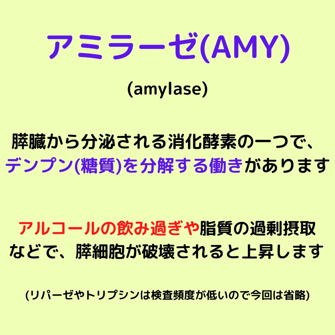 はっしー ナースのメモ帳 アミラーゼのメモ 膵臓から分泌される消化酵素の一つ 唾液にも含まれています 急性膵炎では基準値の10倍以上 慢性膵炎でも2 3倍の数値 急性膵炎の2大原因は アルコール と 胆石