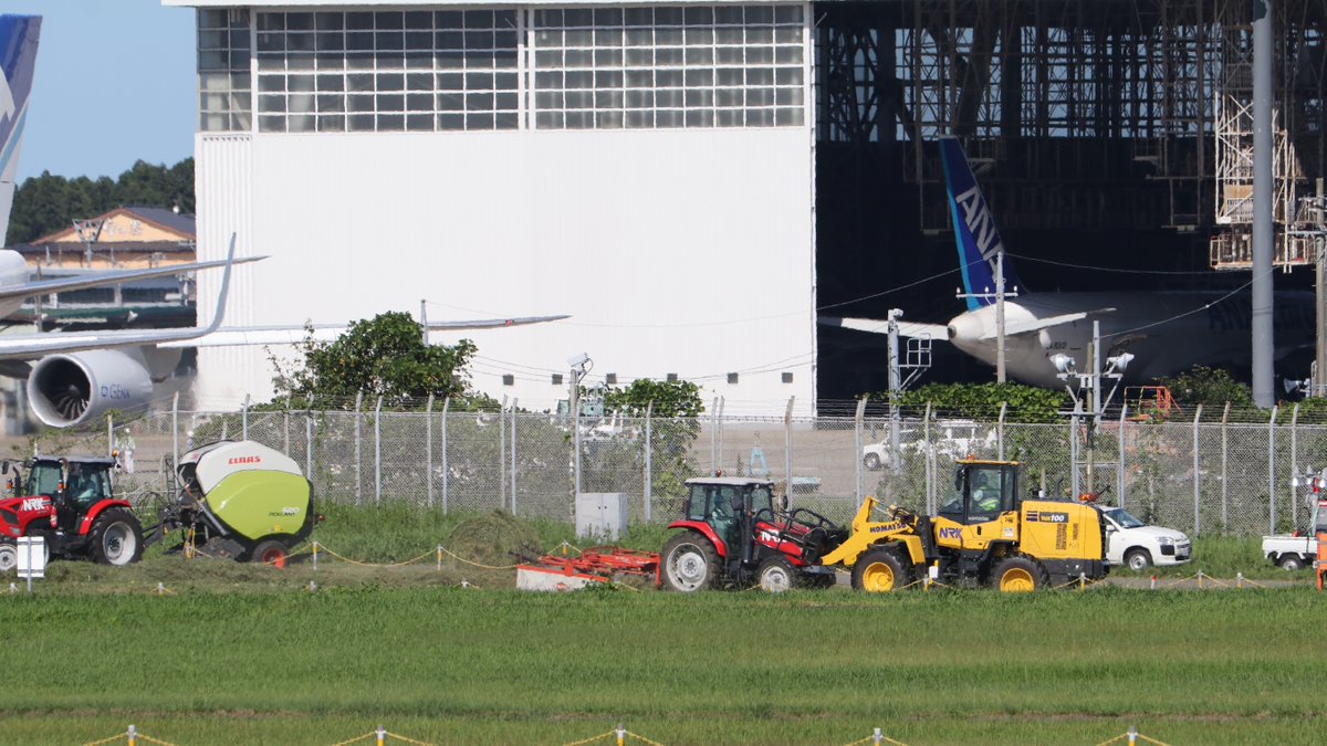 雷ちゃんraichansyuna 成田空港 内草刈り 7月16r End 8月16l Endと草刈りをあげました 今回は 9月34l End 航空博物館側草刈りです 亀さんの前では牧草ロールの積み込み しかしなんと草深い事 腰まである 成田 国際 空港の敷地内ですよ お疲れ様