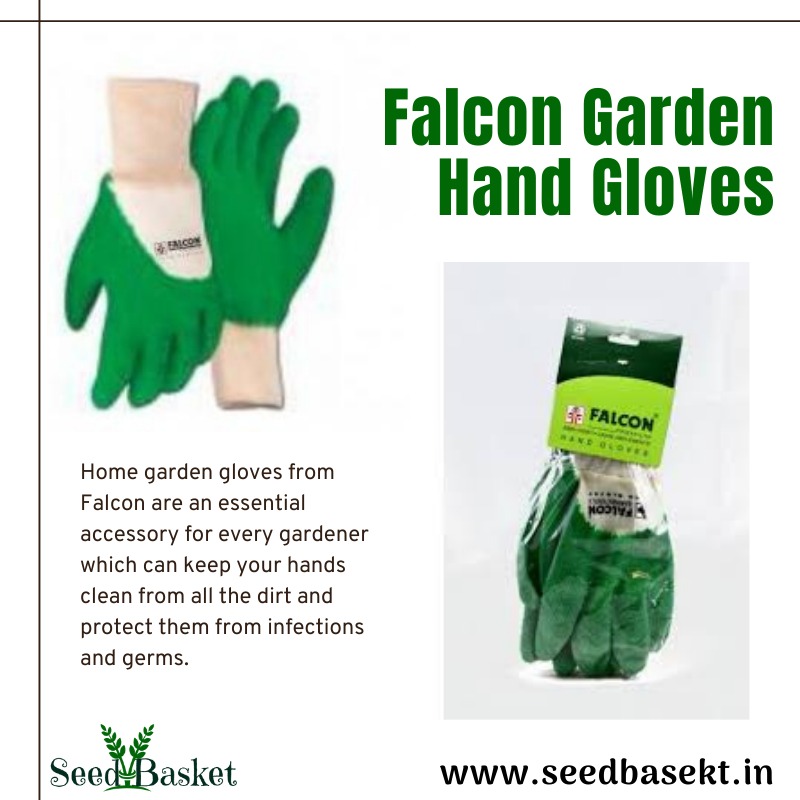 seedbasket's tweet photo. Falcon Garden Hand Gloves: #homegardening #gardening #garden #gardenkit #handgloves #Falcons #vegetables #flowers #fruits #seeds #vegetablegarden #vegetableseeds #fruitseeds #marketing #buynow #shoplocal #hyderabad #india #Telangana #seedbasket OrderOnline:https://t.co/200m0ojBgV https://t.co/8M96yib4aE