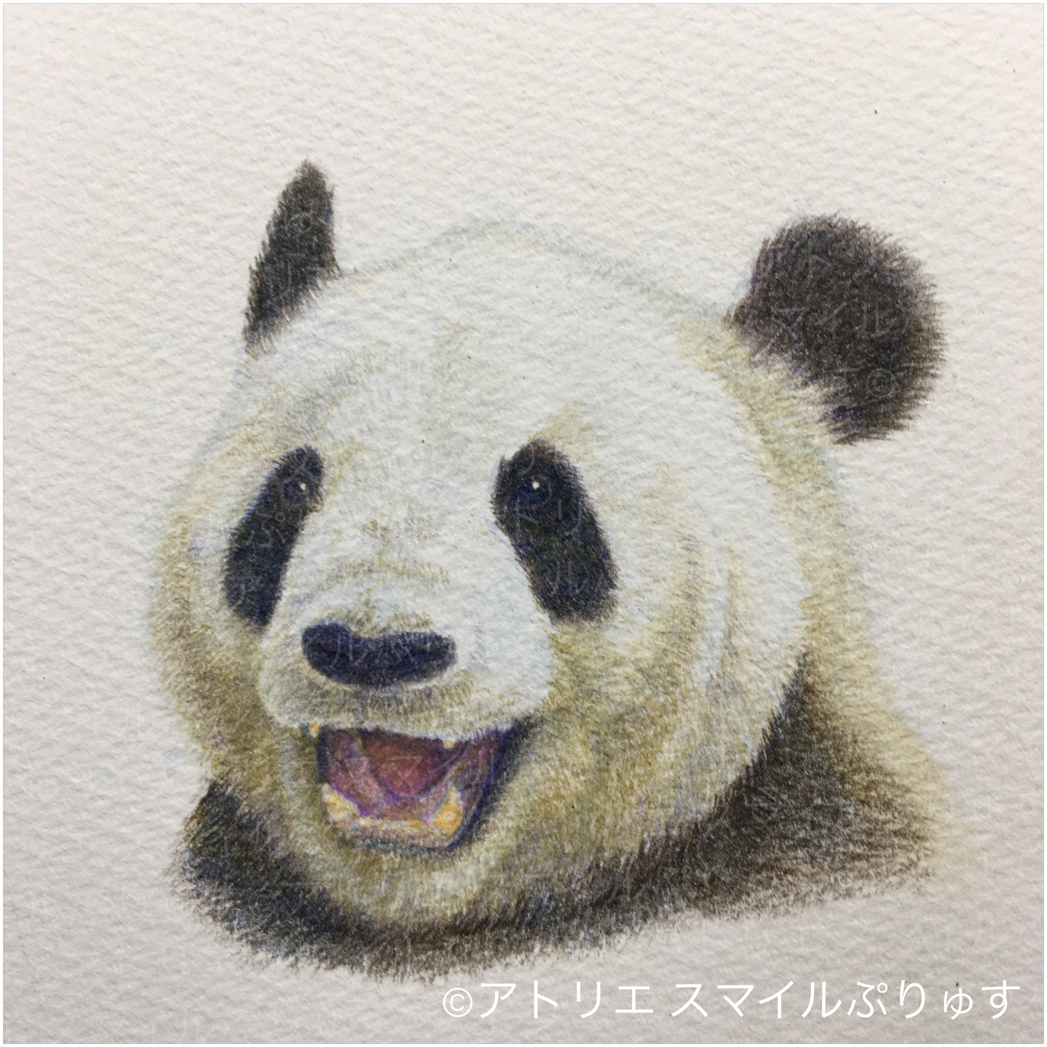 森口慶一 on X: 
