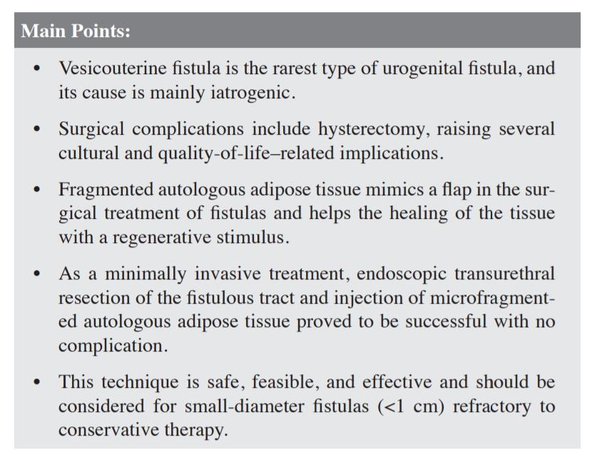 TurkJUrol's tweet photo. Endoscopic repair of a vesicouterine fistula with the injection of microfragmented autologous adipose tissue (Lipogems®)

#urogyn #fistula #vesicouterine #lipogems #UroSoMe 

@Uroweb @AmerUrological 

Article link:

https://t.co/NcaVs74Rom https://t.co/aYFpqaYFi0