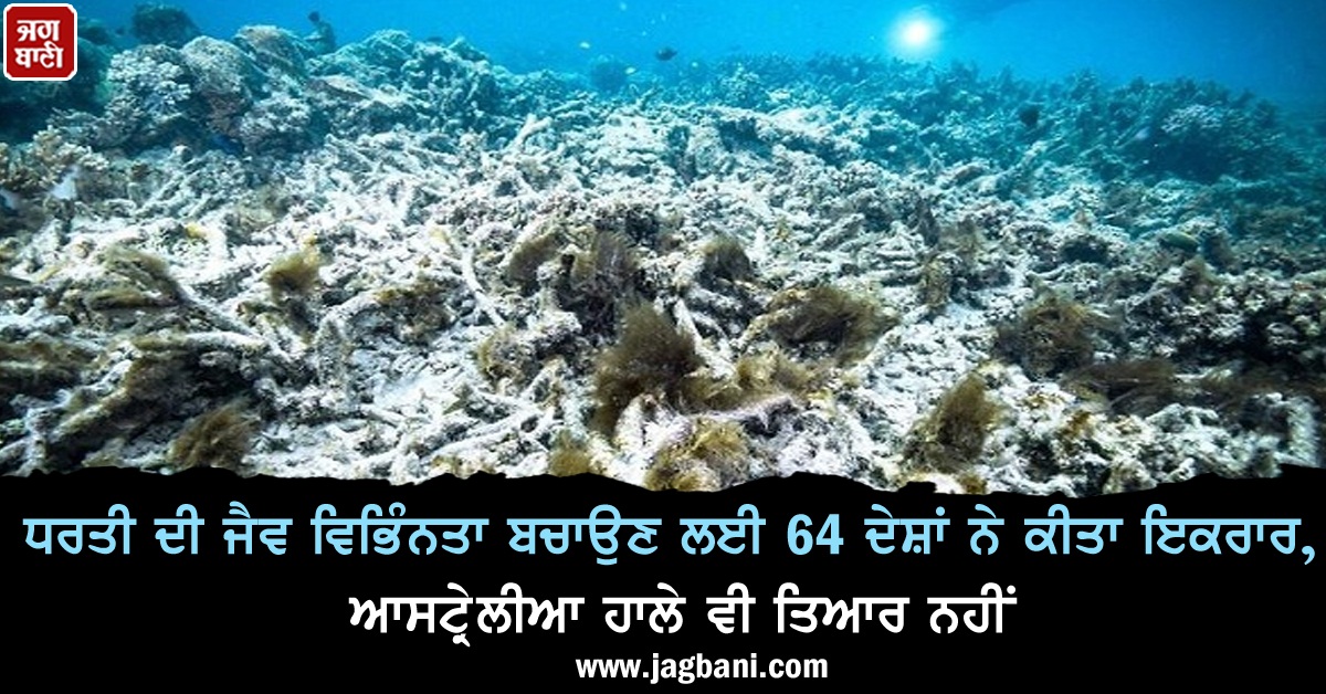 JagbaniOnline's tweet photo. ਧਰਤੀ ਦੀ ਜੈਵ ਵਿਭਿੰਨਤਾ ਬਚਾਉਣ ਲਈ 64 ਦੇਸ਼ਾਂ ਨੇ ਕੀਤਾ ਇਕਰਾਰ, ਆਸਟ੍ਰੇਲੀਆ ਹਾਲੇ ਵੀ ਤਿਆਰ ਨਹੀਂ
https://t.co/bQlKLSRGNp
#Australia #Biodiversity #Refusal #64Countries https://t.co/yo5EY7YHTd