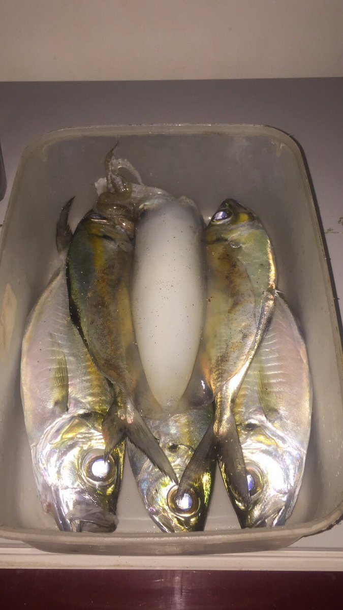 MadayukaW (@madayukaw) on Twitter photo 