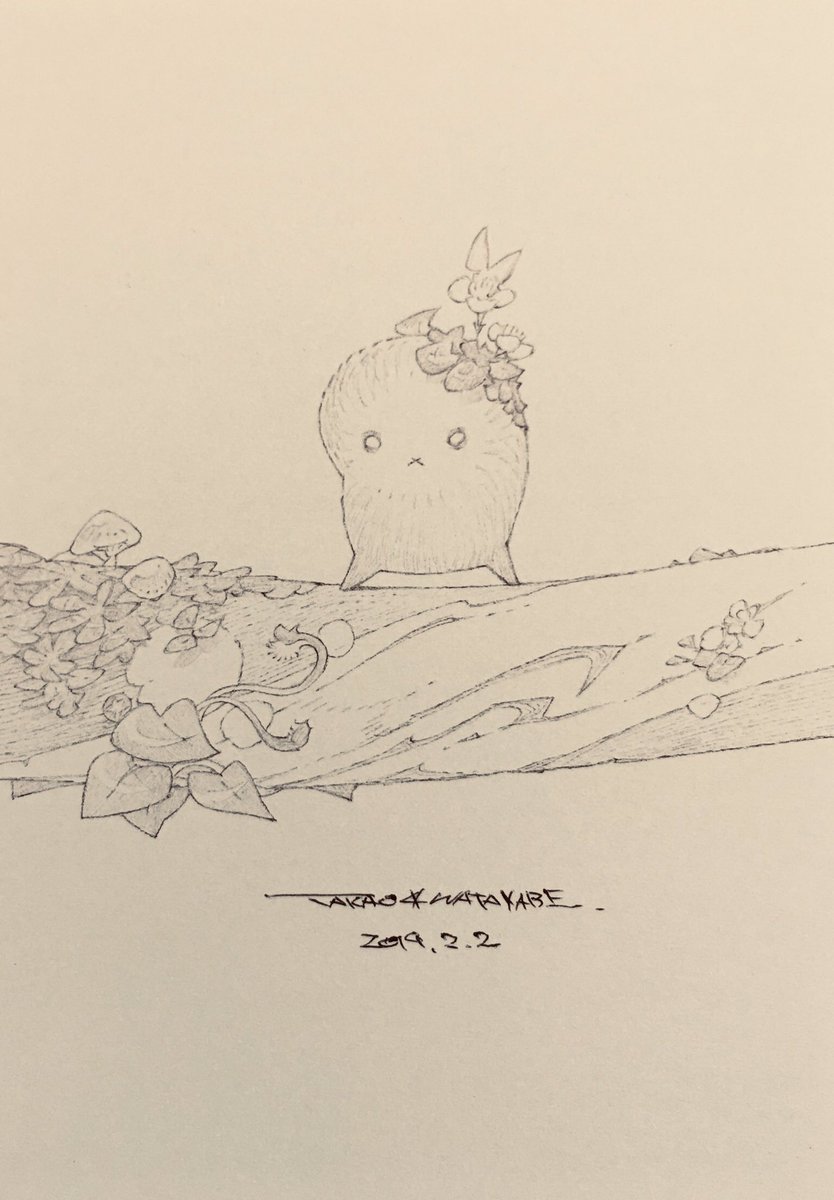 渡辺孝夫 少し遠くを見る なイラスト コケダマちゃん 渡辺孝夫 少し遠くを見る なイラスト コケダマちゃん