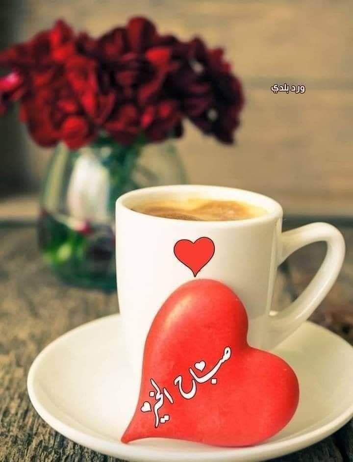 <a href="/rima_yehea/">💛Rima💝</a>