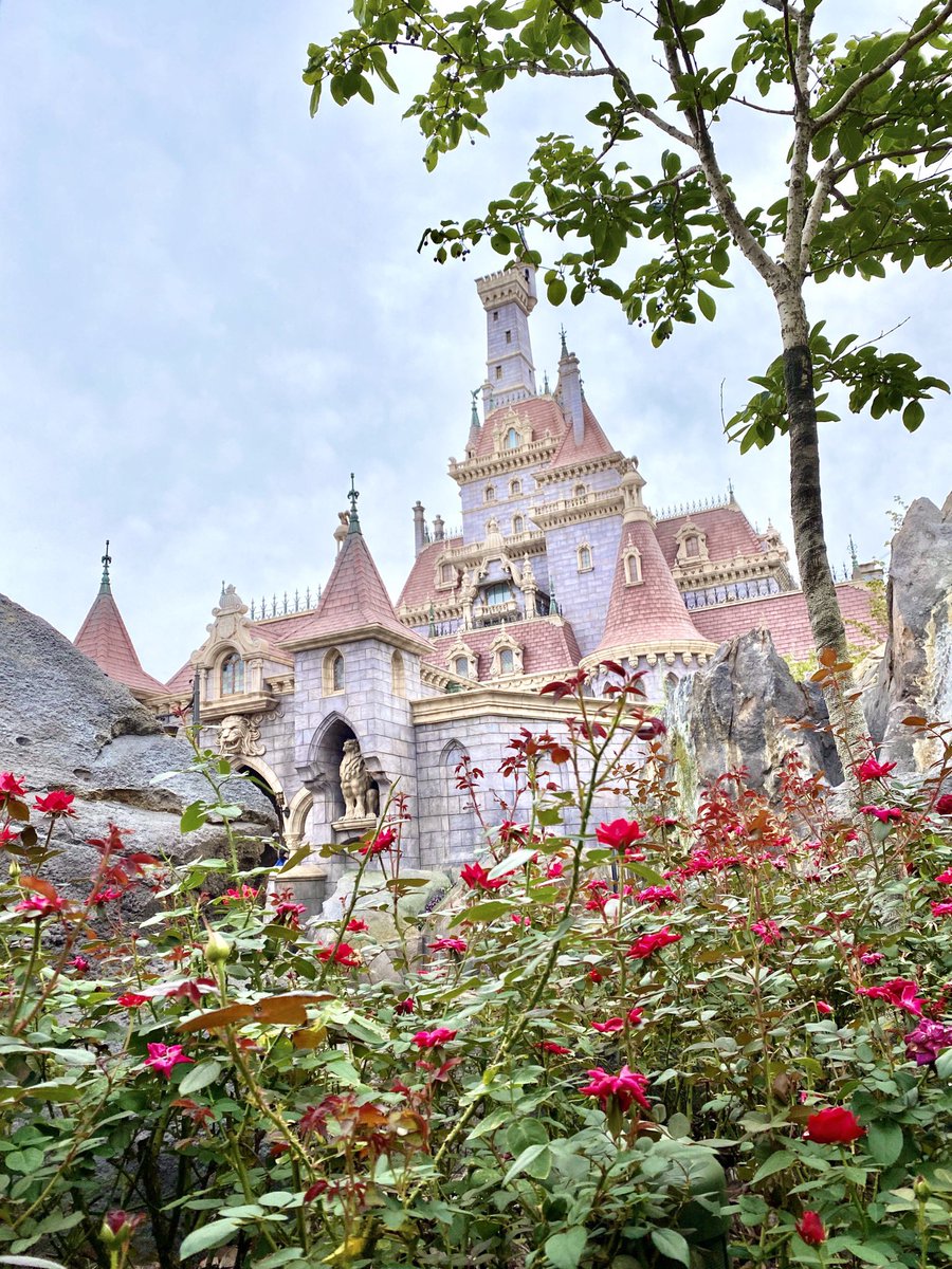 Mezzomikiのディズニーブログ 東京ディズニーランド 美女と野獣 魔法のものがたり T Co 6teyananls