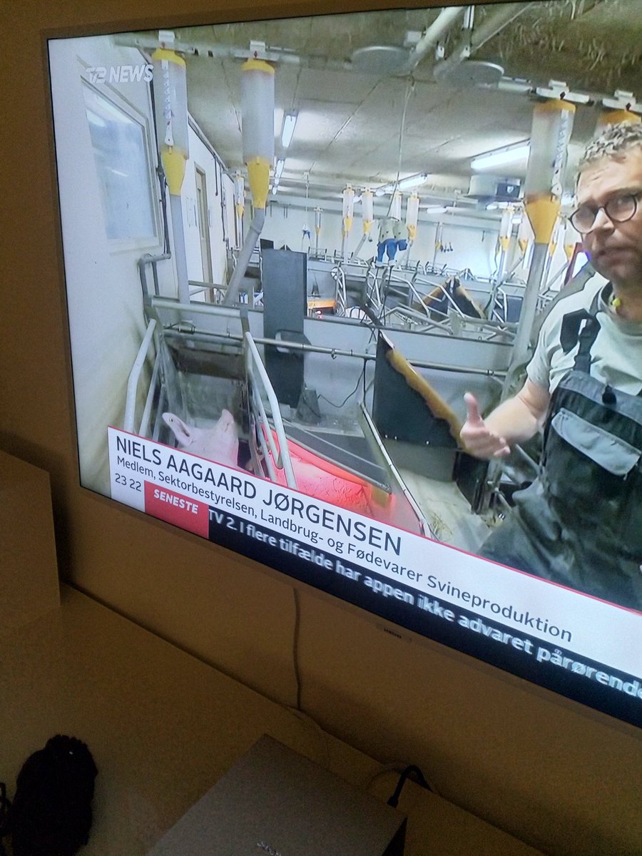 ESloth's tweet image. Når en landmand går på @tv2newsdk for at hævde, at @veganerpartiet ikke har noget at komme efter i forhold til #dyrevelfærd i landbruget.