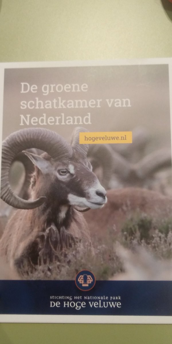Houtatelier Régine (@houtatelierr) on Twitter photo Dag 3 van de superinteressante IGNITE Award Business Pressure Cooker training @parkhogeveluwe met vandaag identiteitsmarketing @kajmorel en onlinemarketing met <a href="/NathalievdPloeg/">Nathalie vanderPloeg</a> #igniteaward #SocEntNL #kanniewachten Dag 3 van de superinteressante IGNITE Award Business Pressure Cooker training @parkhogeveluwe met vandaag identiteitsmarketing @kajmorel en onlinemarketing met <a href="/NathalievdPloeg/">Nathalie vanderPloeg</a> #igniteaward #SocEntNL #kanniewachten