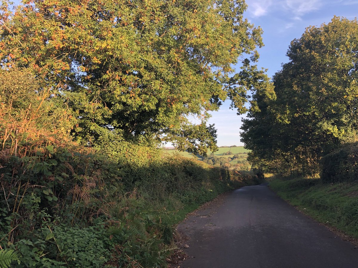 williams_dai's tweet image. ⁦@DiabetesUKCymru⁩ Autumn is clearly starting, I love this time of year - out walking the mutts earlier.

#GoodToBeAlive ✨