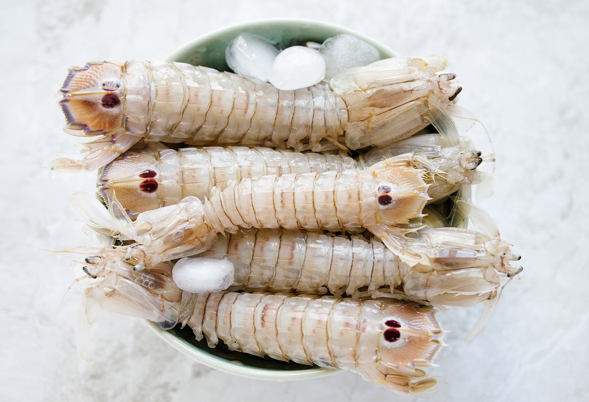 agriculturacat's tweet photo. 🦐  És un #crustaci humil, però té un sabor similar a la llagosta. 
Cada any se celebren unes jornades gastronòmiques a les #TerresdelEbre amb la #galera com a protagonista. 
🥘 Es pot fer a la planxa, en arrossos, crema tèbia, carpaccio o suquet.
https://t.co/3NCA3O1NMn https://t.co/2FLi2BqeJo