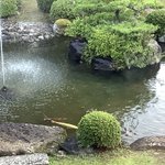 ツイートに含まれる画像