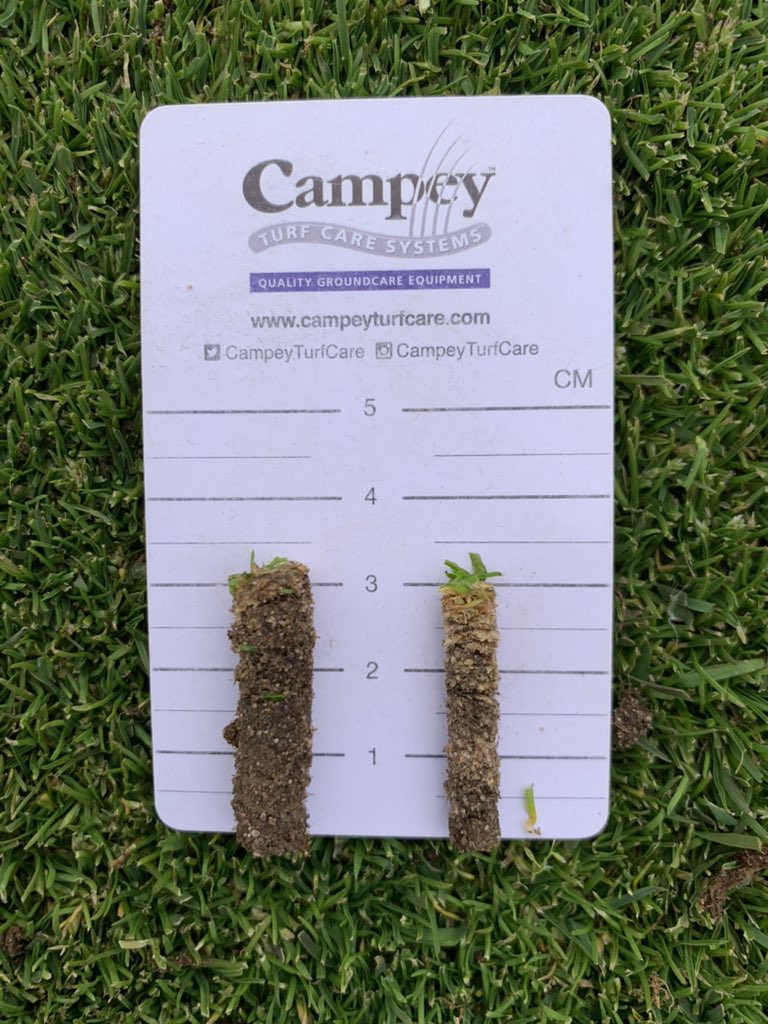 Woolleyparkgolf's tweet photo. @petecross01 @CampeyTurfCare @NinjaTines @ToroGolf @ReesinkTurfcare @CTM_Pro @BIGGALtd @BIGGANorthReg @TurfMatters @TurfcareblogC @GreenkeeperMiss The @NinjaTines pulls an almost invisible 4mm core, the @CampeyTurfCare Tiny Tine pulls a very neat 5mm core. Left pic Toro 5mm vs Ninja. Right pic Toro 8mm vs Tiny Tine. https://t.co/Hw3Z2L2A1c