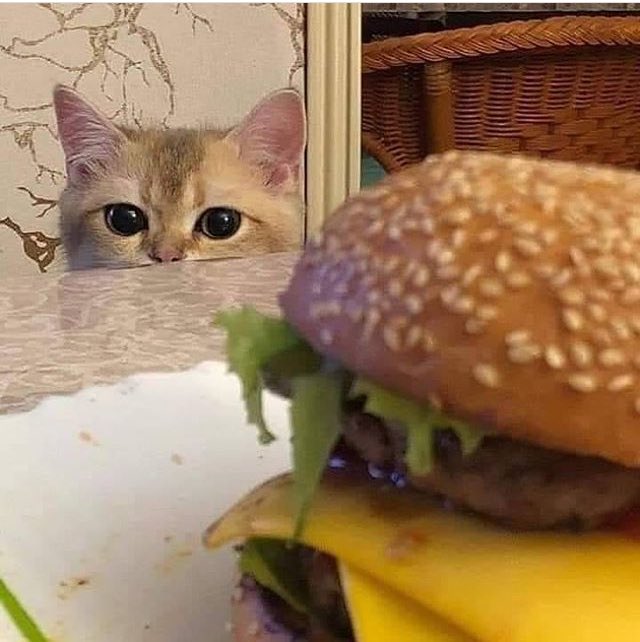 Diyetin nah hareketi çektiği o an